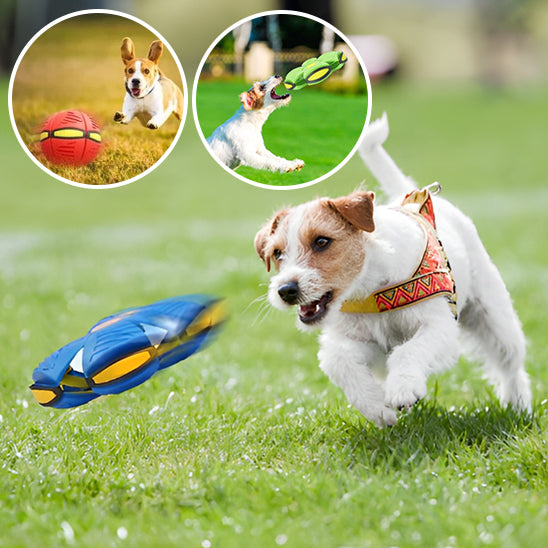 Balle sauteuse pour chien avec lumières LED