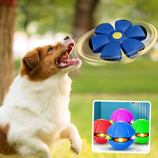 Balle sauteuse pour chien avec lumières LED