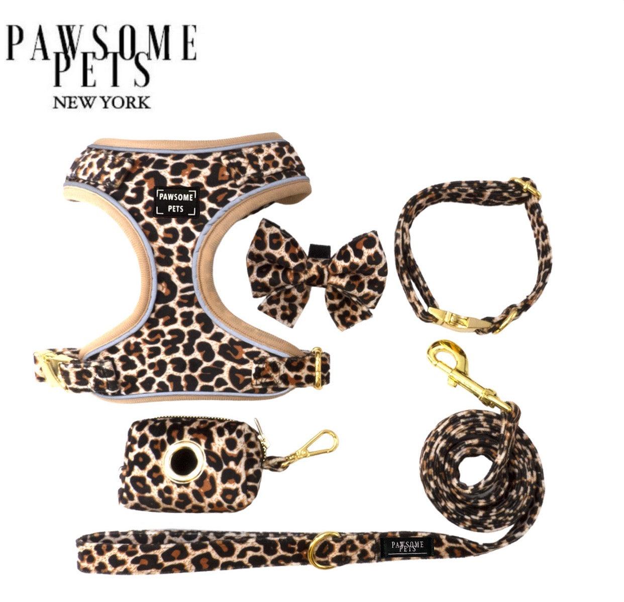 Collier, laisse, nœud papillon et porte sacs