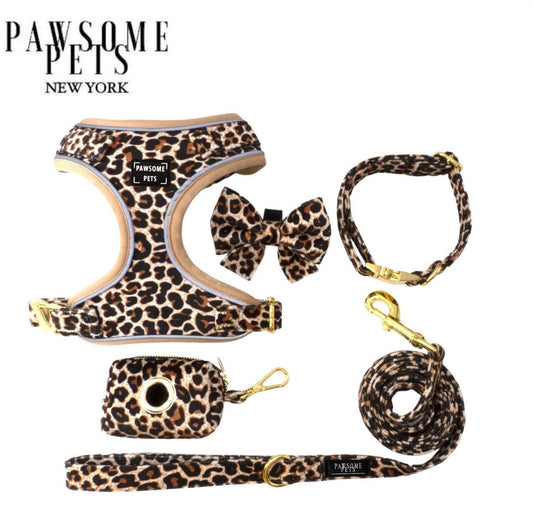 Collier, laisse, nœud papillon et porte sacs