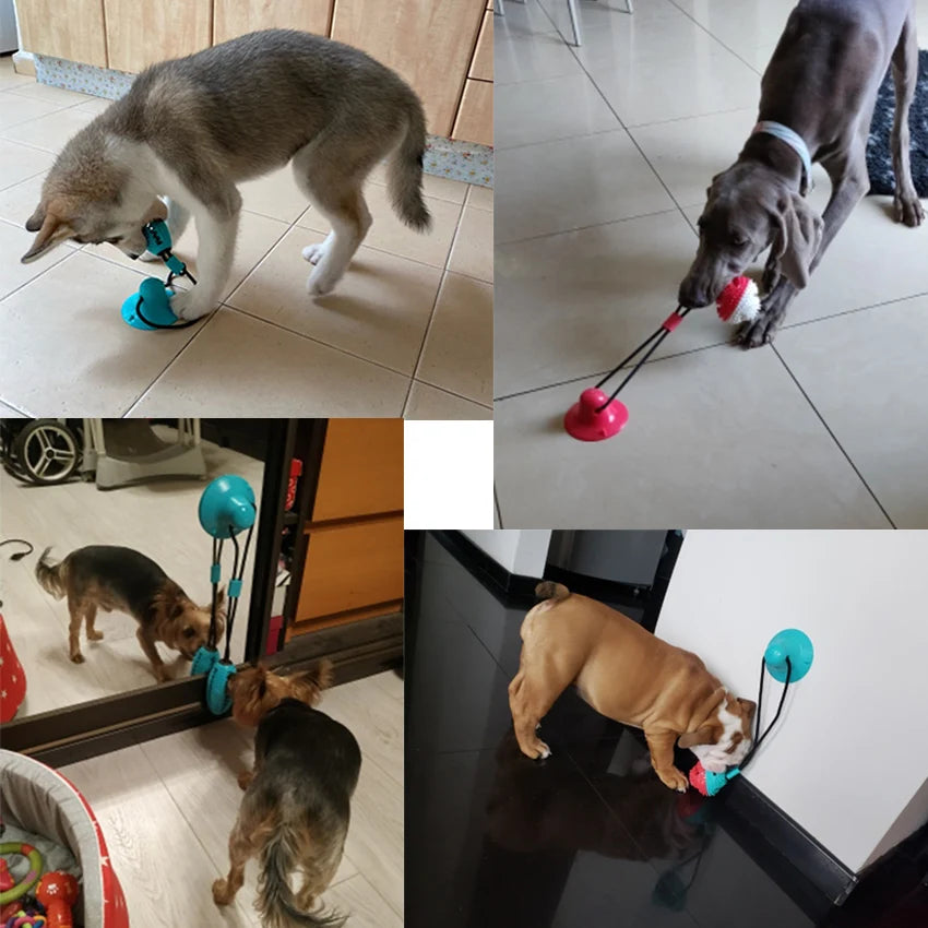 Les jouets pour chien en silicone révolutionnent le monde des accessoires canins.