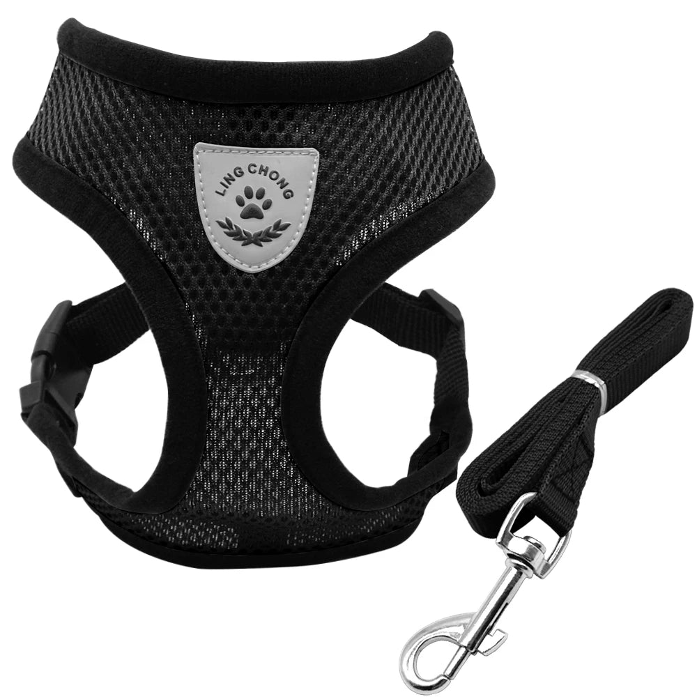 Ensemble harnais et laisse pour chiot, chien