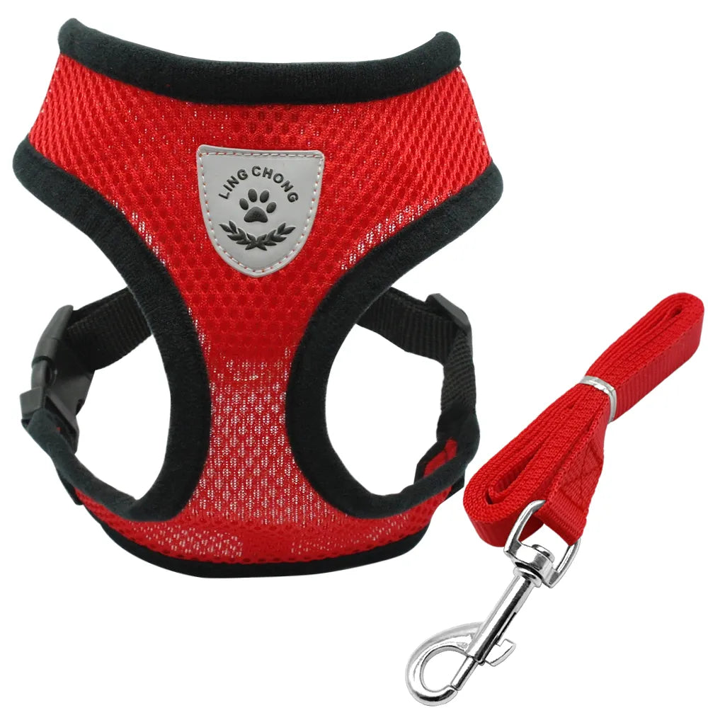 Ensemble harnais et laisse pour chiot, chien