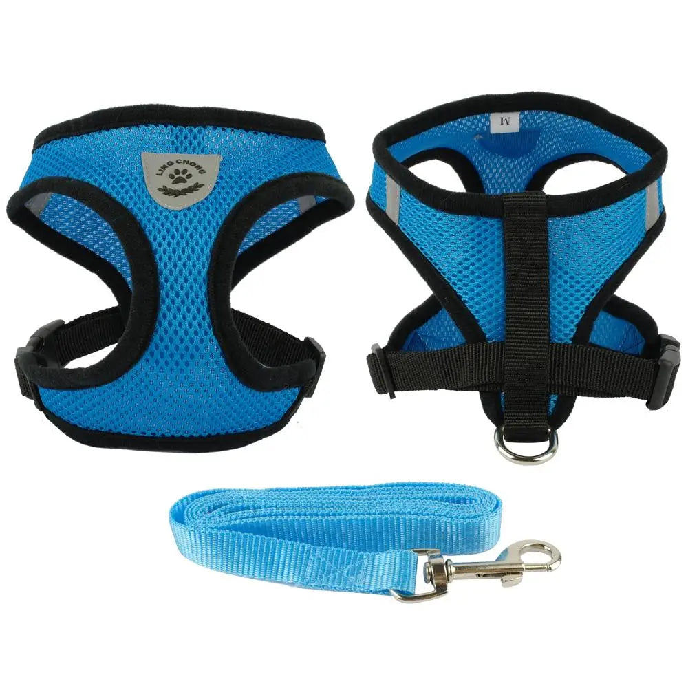 Ensemble harnais et laisse pour chiot, chien