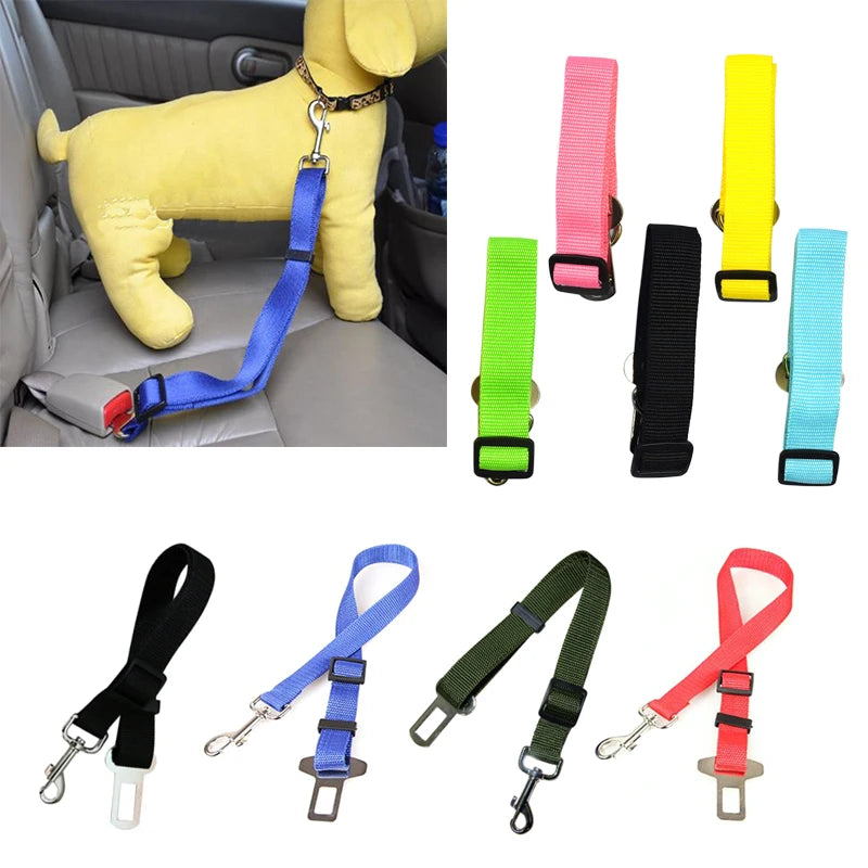 Laisses pour Ceinture de Sécurité