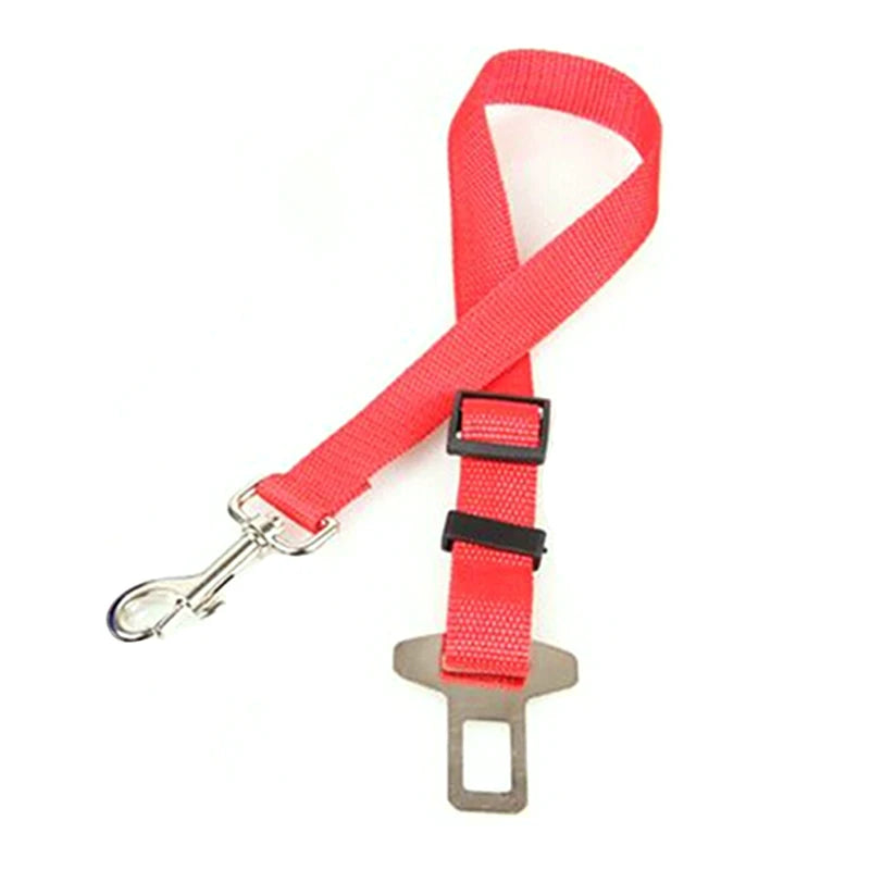 Laisses pour Ceinture de Sécurité