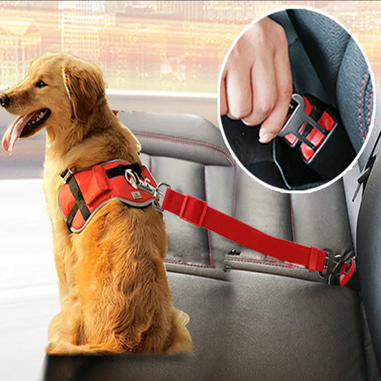 Laisses pour Ceinture de Sécurité