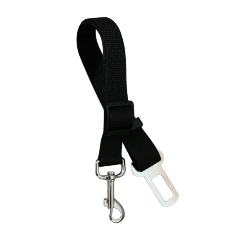 Laisses pour Ceinture de Sécurité