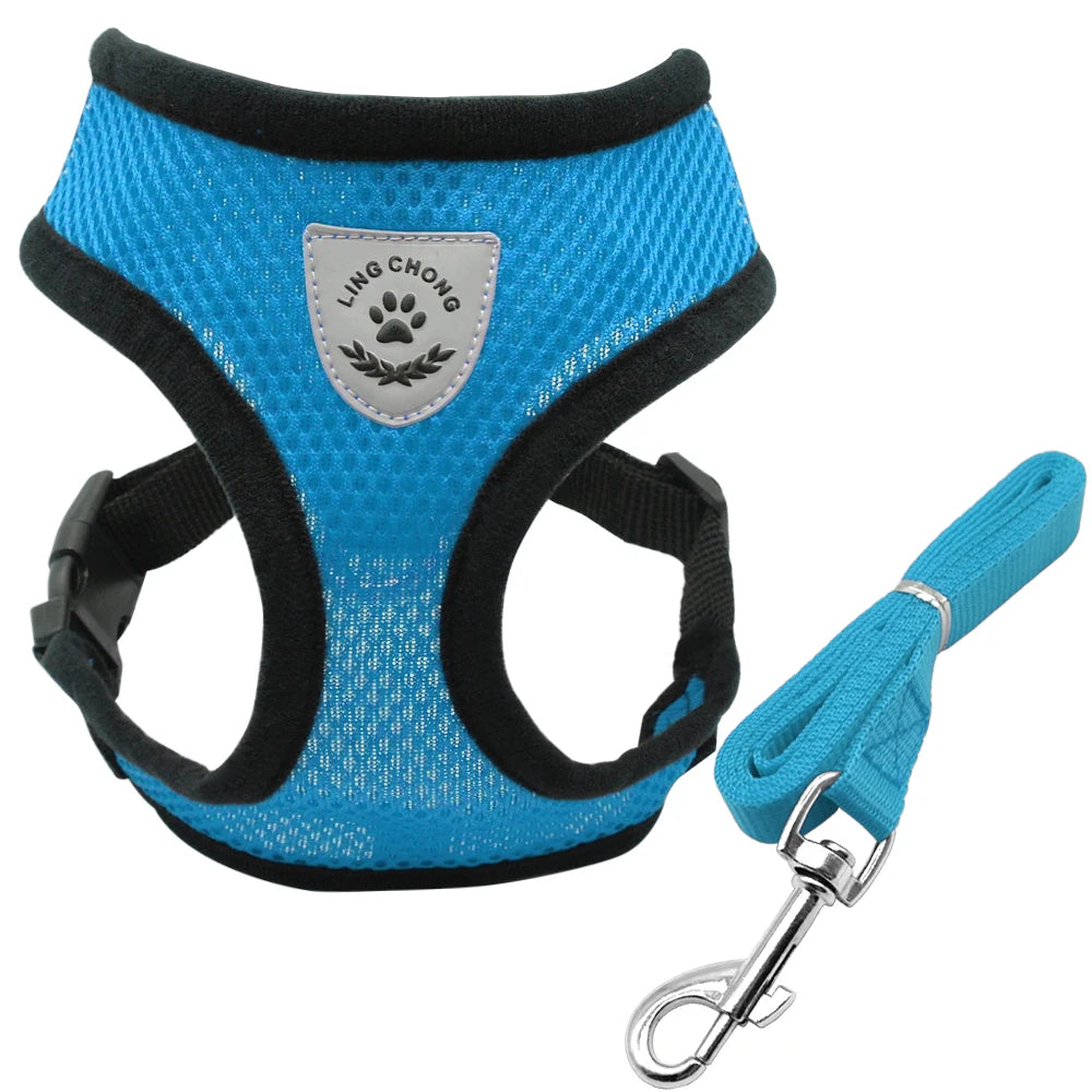 Ensemble harnais et laisse pour chiot, chien