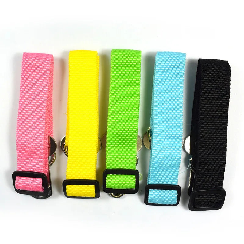 Laisses pour Ceinture de Sécurité