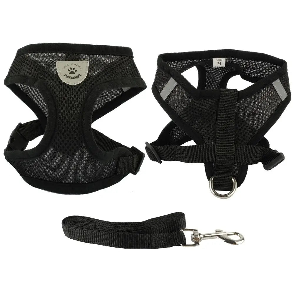 Ensemble harnais et laisse pour chiot, chien