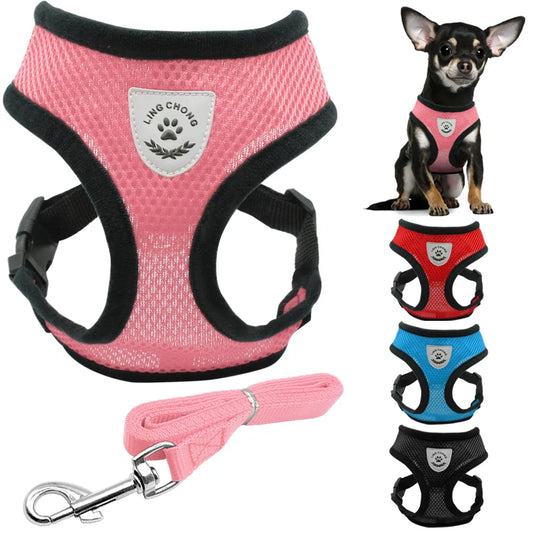 Ensemble harnais et laisse pour chiot, chien