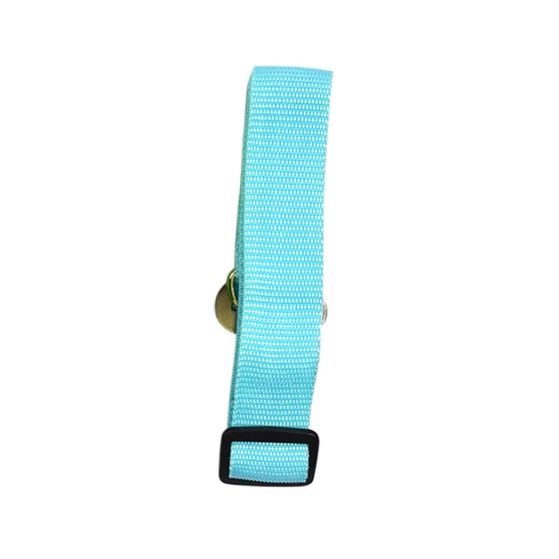 Laisses pour Ceinture de Sécurité