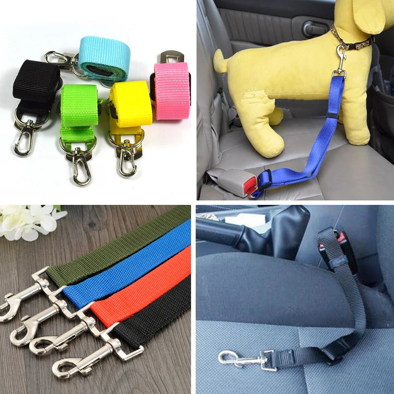 Laisses pour Ceinture de Sécurité