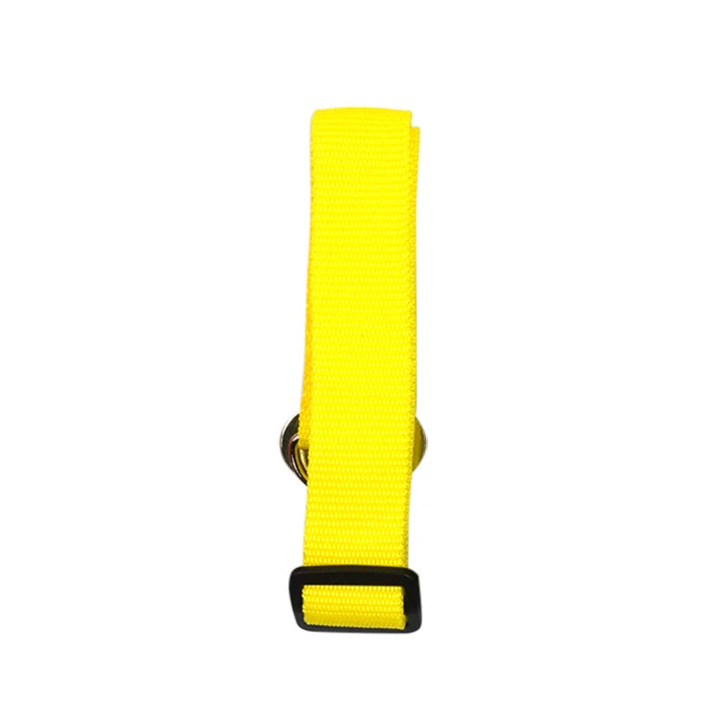 Laisses pour Ceinture de Sécurité