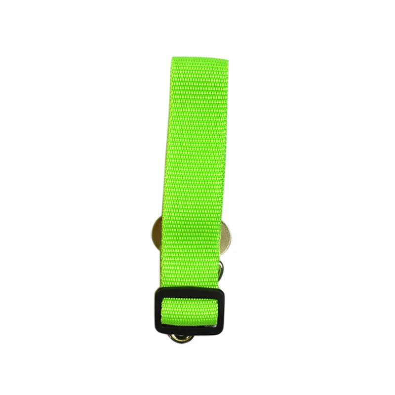 Laisses pour Ceinture de Sécurité