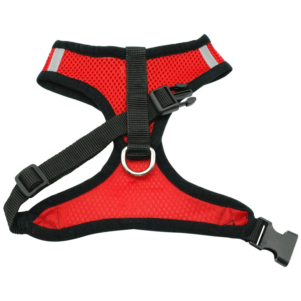 Ensemble harnais et laisse pour chiot, chien