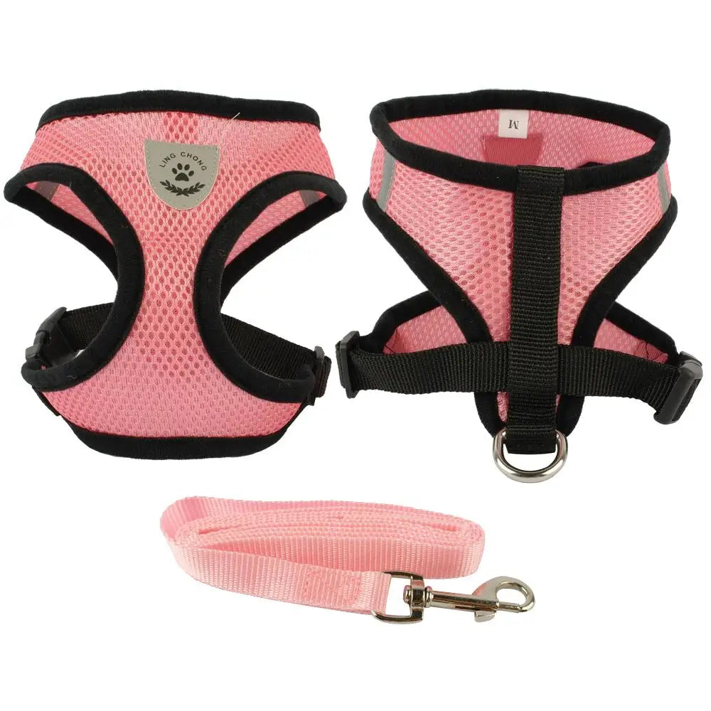 Ensemble harnais et laisse pour chiot, chien