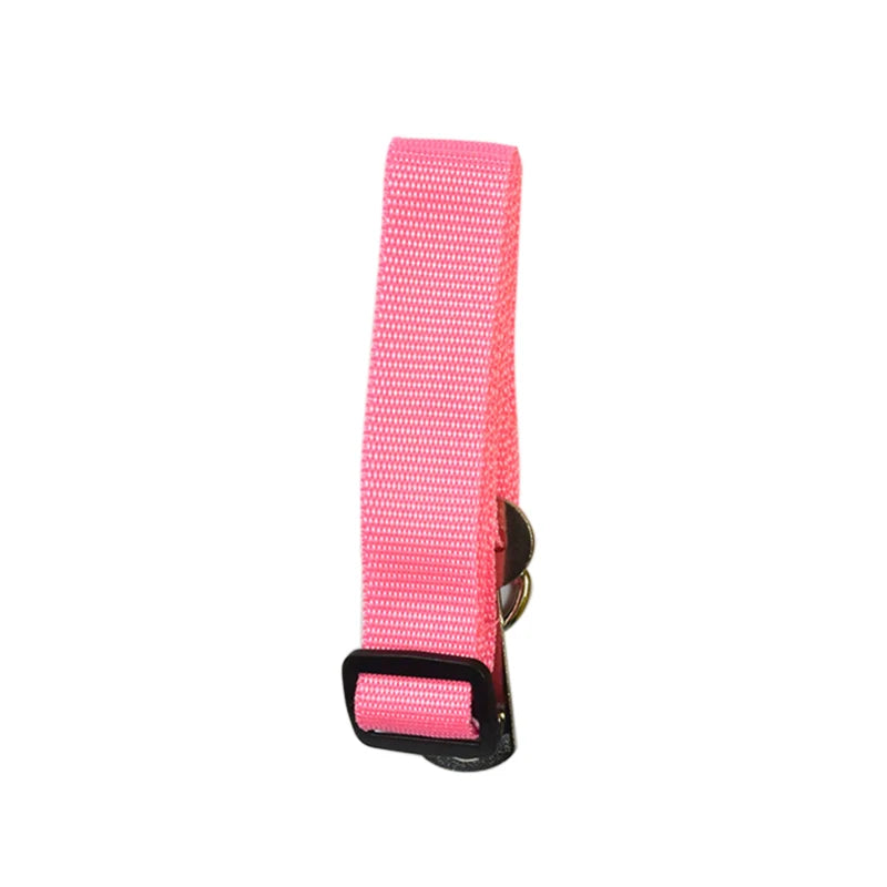 Laisses pour Ceinture de Sécurité