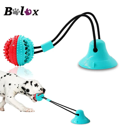 Les jouets pour chien en silicone révolutionnent le monde des accessoires canins.