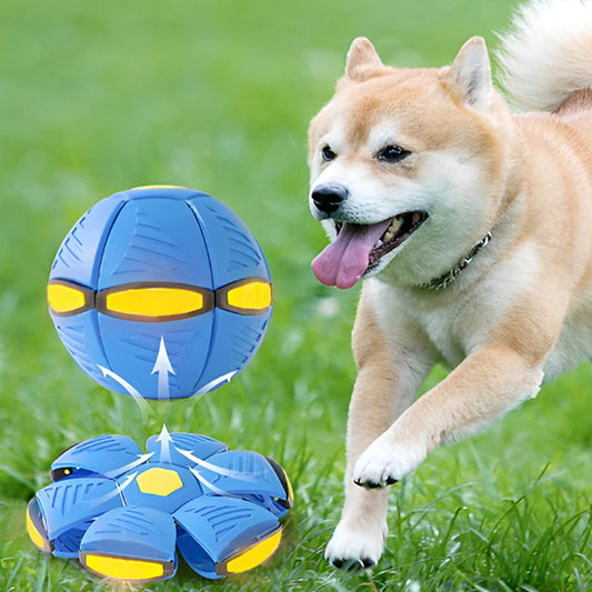 Balle sauteuse pour chien avec lumières LED