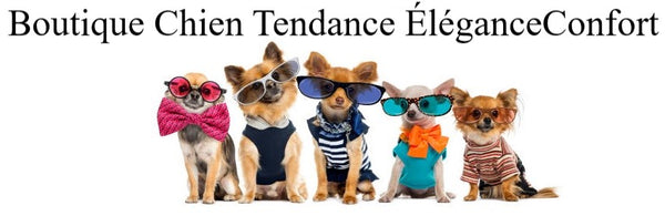 boutique Chien Tendance